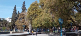  sector_css: 48762