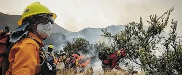  sector_css: 55792