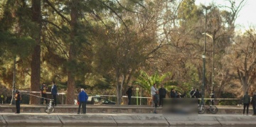  sector_css: 54117