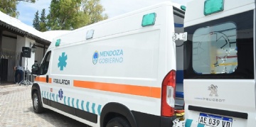 sector_css: 54238